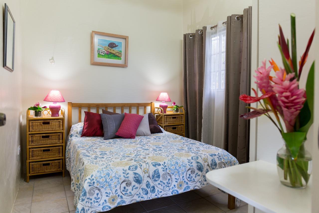 Smithy'S Eco-Apartment Morne Jaloux Ridge Exterior photo