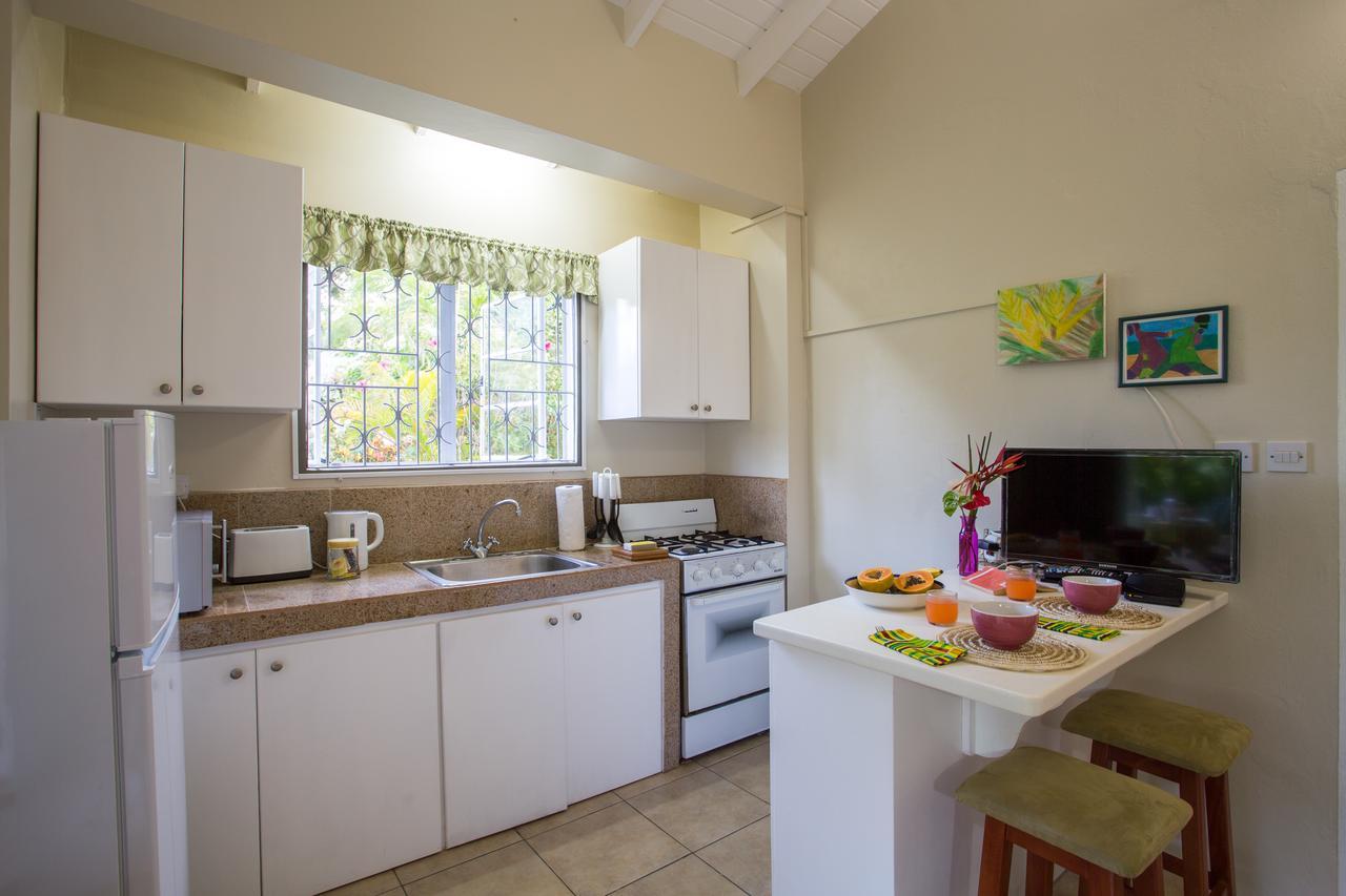 Smithy'S Eco-Apartment Morne Jaloux Ridge Exterior photo